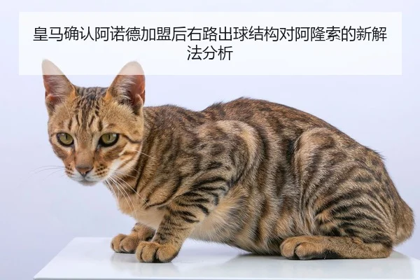 皇马确认阿诺德加盟后右路出球结构对阿隆索的新解法分析