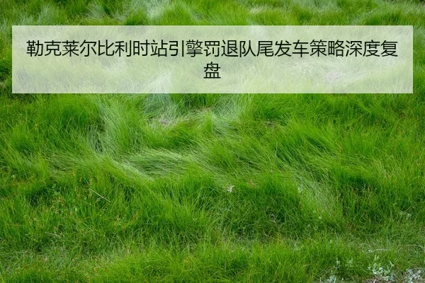 lei-ke-lai-er-bi-li-shi-zhan-yin-qing-fa-tui-dui-wei-fa-che-ce-lve-shen-du-fu-pan-2-975.jpg