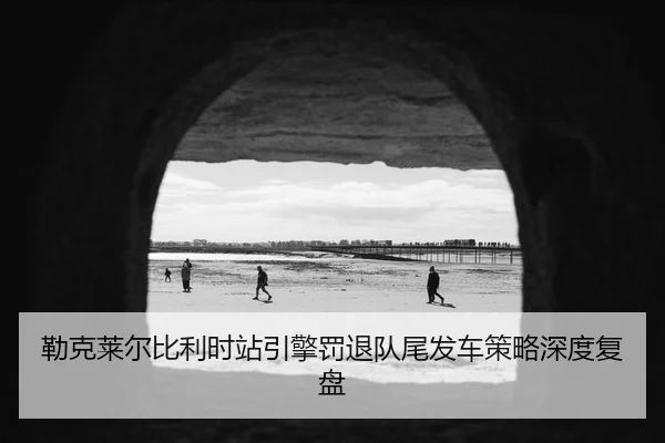 lei-ke-lai-er-bi-li-shi-zhan-yin-qing-fa-tui-dui-wei-fa-che-ce-lve-shen-du-fu-pan-3-394.jpg