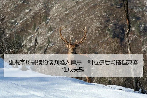 xiong-lu-zi-mu-ge-xu-yue-tan-pan-xian-ru-jiang-ju-li-la-de-hou-chang-da-dang-jian-rong-xing-cheng-guan-jian-3-590.jpg