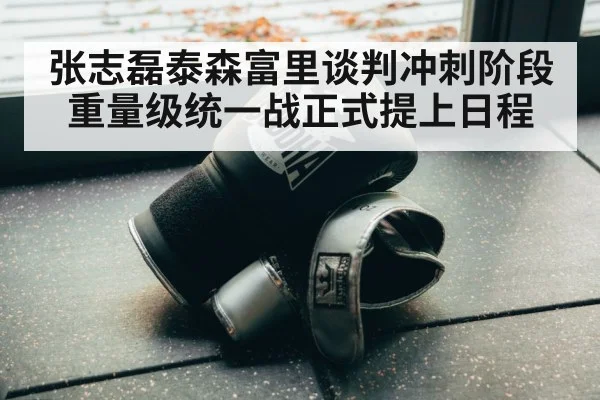 张志磊泰森富里谈判冲刺阶段 重量级统一战正式提上日程