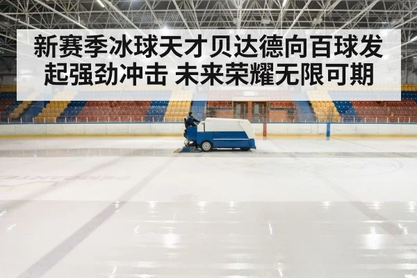 hockey rink